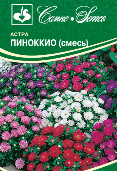 Цветы Астра Пиноккио (смесь) (пакет 0,2 г)