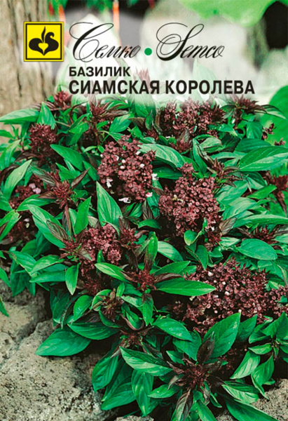 Базилик Сиамская королева (пакет 0,25 г)