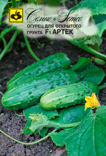 Огурец Артек F1 (пакет 1 г)