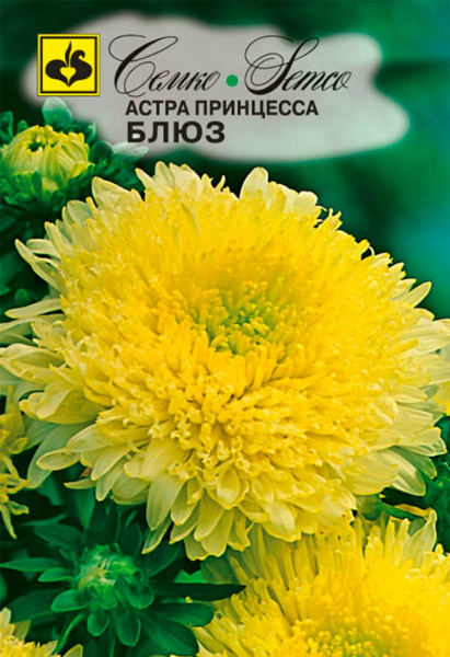 Цветы Астра принцесса Блюз (пакет 0.5 г)