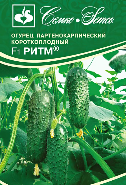 Огурец Ритм F1 (пакет 5 шт)