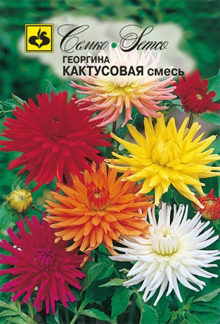 Цветы Георгина кактусовая (смесь) (пакет 0.3 г)
