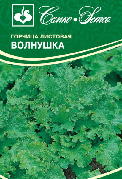 Горчица Волнушка (пакет 0,5 г)