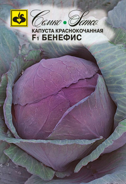 Капуста краснокочанная Бенефис F1 (пакет 0,2 г)