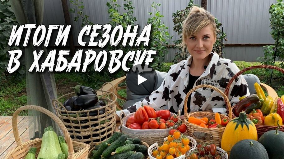 Итоги сезона 2024 Хабаровск