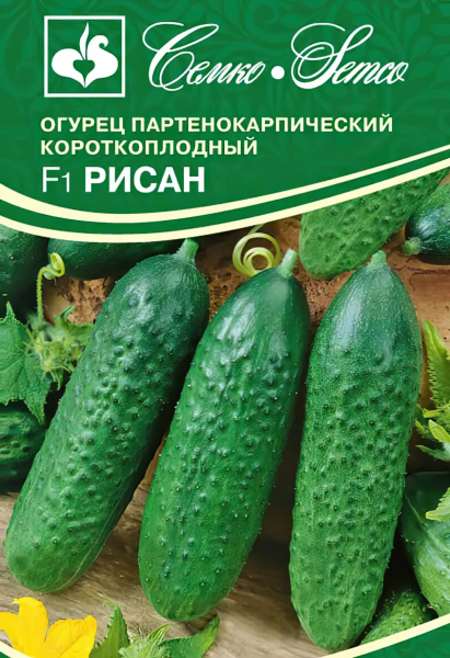 Огурец Рисан F1 (пакет 5 шт.)