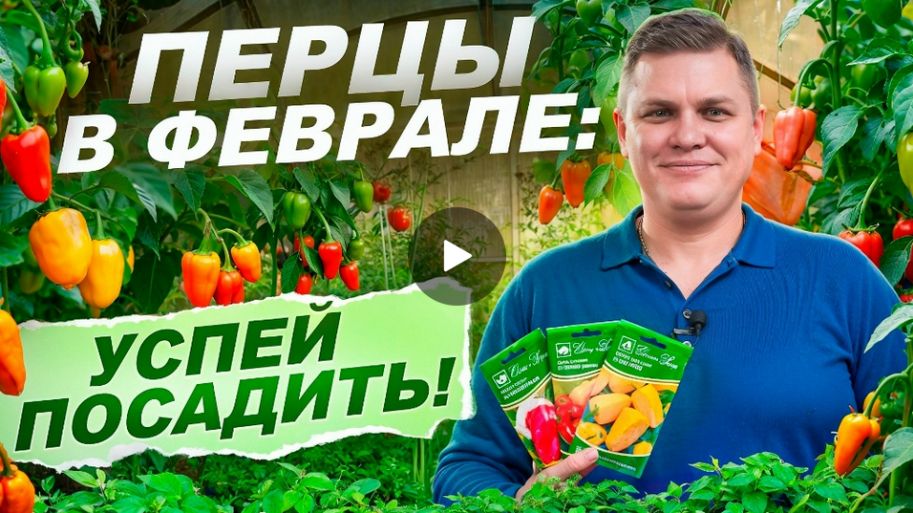 Лучший перец