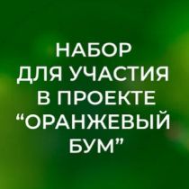 Наборы семян "Оранжевый Бум"