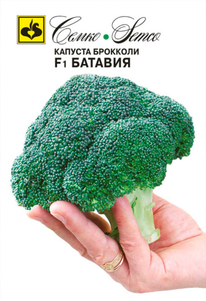 Капуста брокколи Батавия  F1 (пакет  10 шт.)