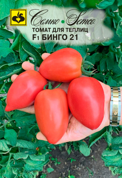 Томат Бинго 21 F1 (пакет 10 шт.)