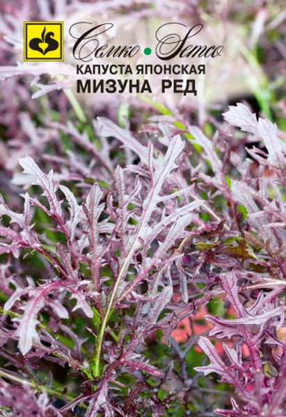 Капуста японская Мизуна Ред (пакет 0.2 г)