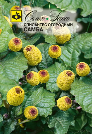 Спилантес огородный Самба (пакет 0,1 г)