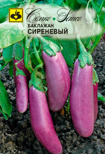 Баклажан Сиреневый (пакет 0,5 г)