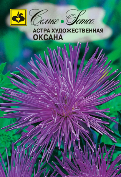 Цветы Астра художественная Оксана (пакет 0.5 г)