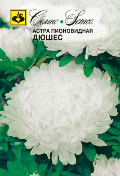Цветы Астра пионовидная Дюшес (пакет 0.5 г)