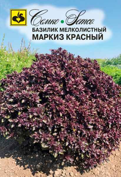 Базилик Маркиз красный (пакет 20 шт.)