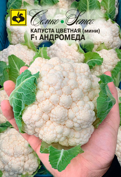 Капуста цветная Андромеда Мини F1 (пакет 5 шт.)