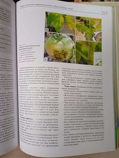 Книга "Мир томата глазами фитопатолога" Фото №8