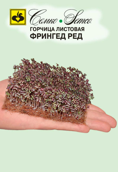 МИКРОЗЕЛЕНЬ Горчицы Фрингед ред красная (пакет 100 г)