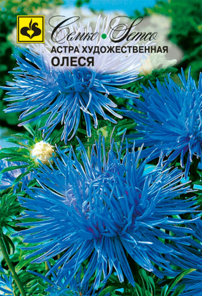 Цветы Астра художественная Олеся (пакет 0.5 г)