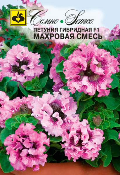Цветы Петуния махровая F1 (смесь) (пакет 10 шт.)