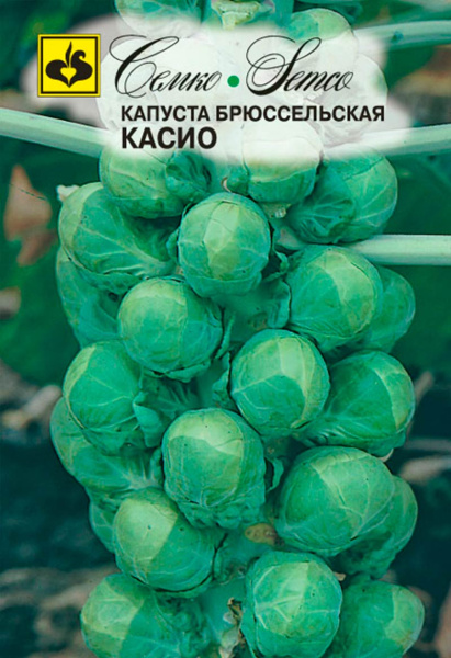 Капуста брюссельская Касио (пакет 0,2 г)