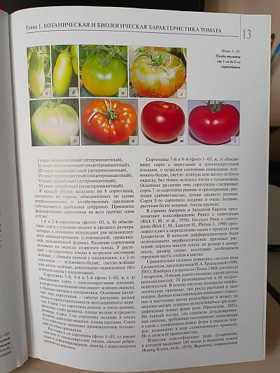 Книга "Мир томата глазами фитопатолога" Фото №1