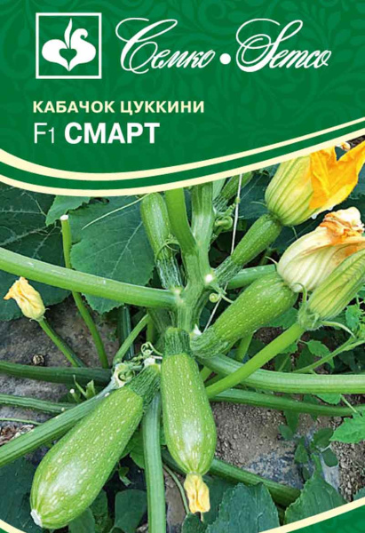 Кабачок цукини Смарт F1 (пакет 5 шт.)