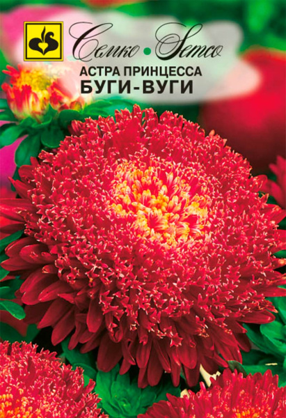 Цветы Астра принцесса Буги-Вуги (пакет 0.5 г)