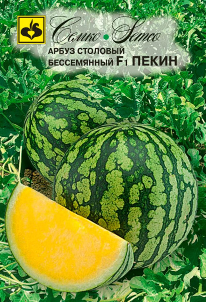 Арбуз Пекин F1 (пакет 5 шт.)