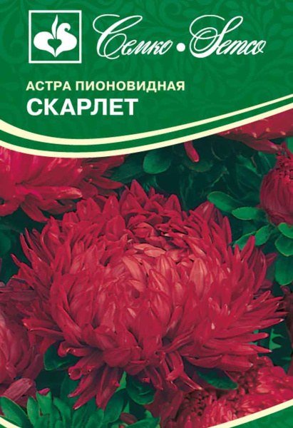 Цветы Астра пионовидная Скарлет (пакет 0.5 г)