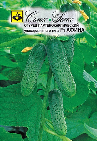 Огурец Афина F1 (пакет 10 шт)
