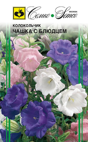 Цветы Колокольчик Чашка с блюдцем (смесь) (пакет 0,05 г)