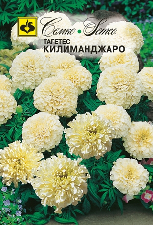 Цветы Тагетес Килиманджаро (пакет 0.1 г)