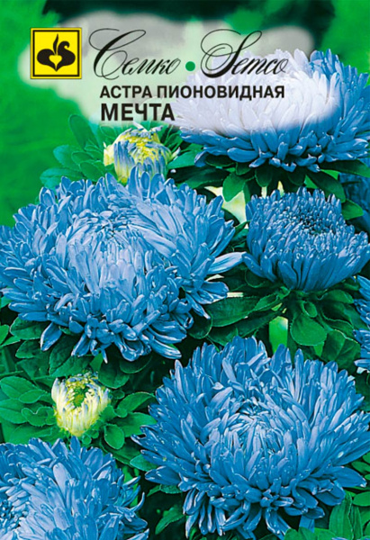 Цветы Астра пионовидная Мечта (пакет 0.5 г)