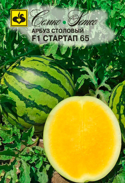 Арбуз Стартап 65 F1 (пакет 5 шт.)