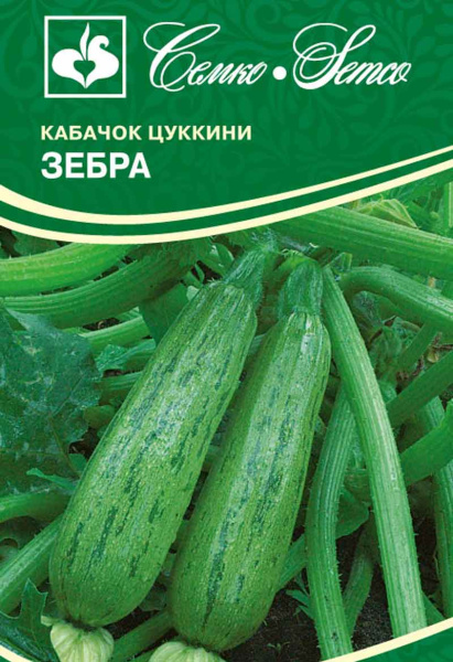 Кабачок цукини Зебра (пакет 5 шт.)
