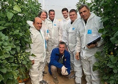 Предновогодние встречи под Ашкелоном - семинар в розовых тонах