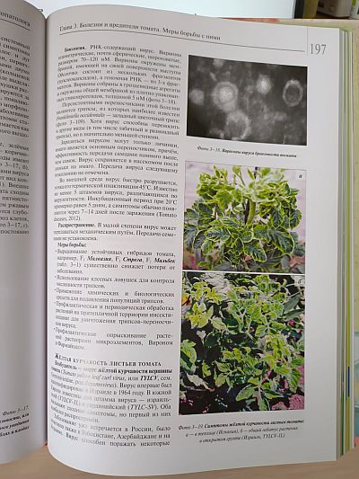 Книга "Мир томата глазами фитопатолога" Фото №7