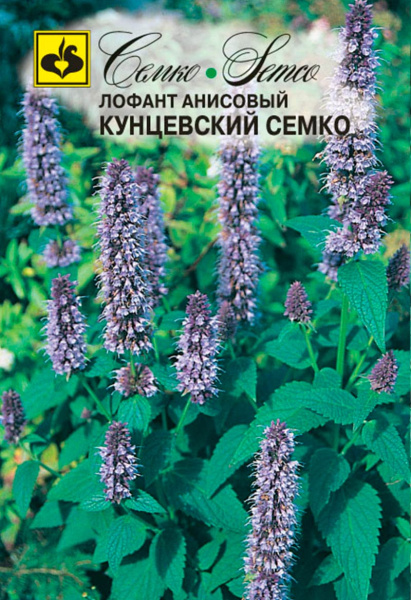 Лофант анисовый Кунцевский Семко (пакет 0,1 г)