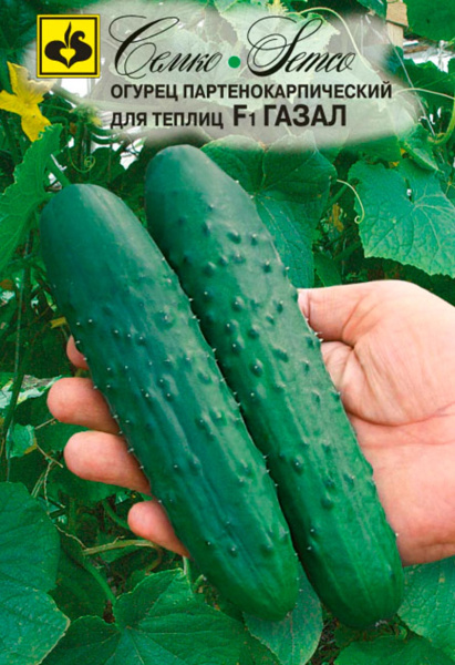 Огурец Газал F1 (пакет 10 шт)