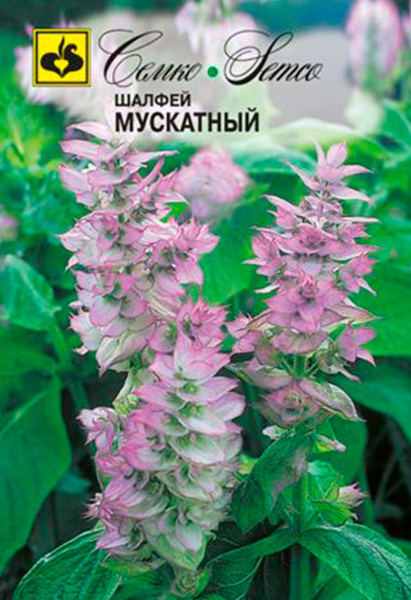 Шалфей мускатный (пакет 1 г)