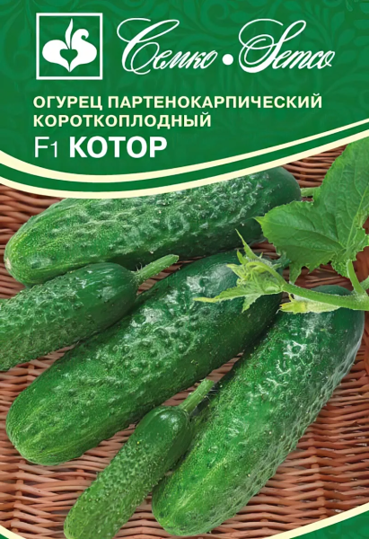 Огурец Котор F1 (пакет 5 шт.)
