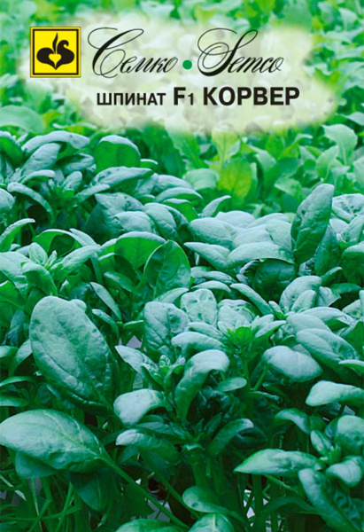 Шпинат Корвер F1 (пакет 1 г)
