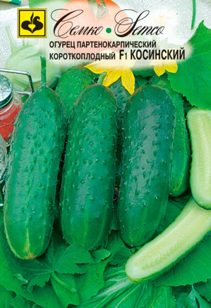 Огурец Косинский F1 (пакет 5 шт)