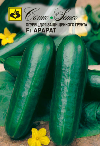 Огурец Арарат F1 (пакет 10 шт)