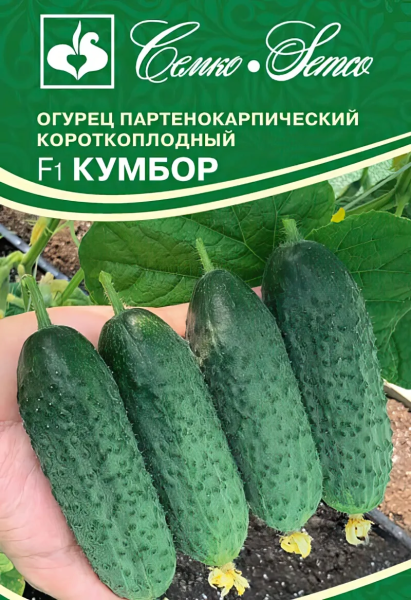 Огурец Кумбор F1 (пакет 5 шт)