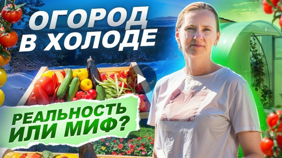 По дачам 2 сезон Ленобласть