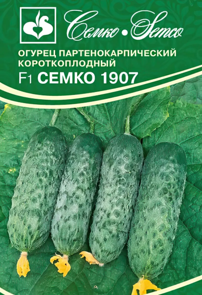 Огурец Семко 1907  F1 (пакет 5 шт)