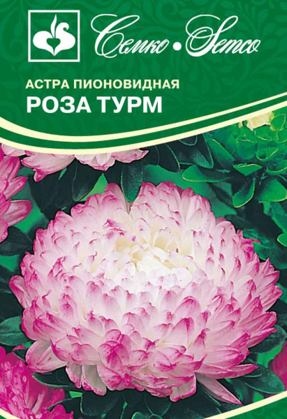 Цветы Астра пионовидная Роза Турм (пакет 0.5 г)